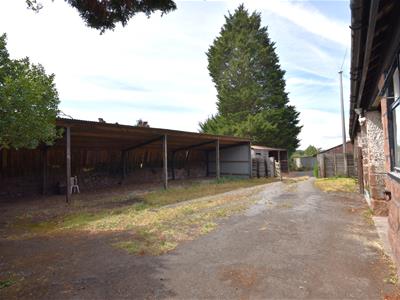 Picture 16